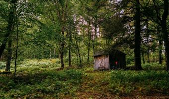 0 Weidick Rd, Andes, NY 13731