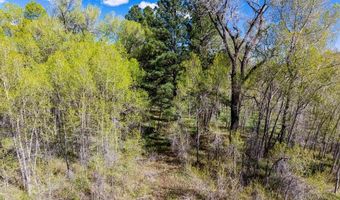 65 Pinestone Dr, Bayfield, CO 81122