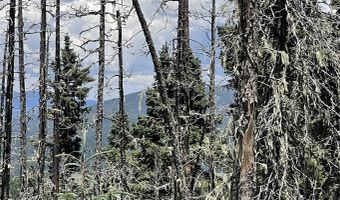Lot 22 Hinz Drive, Angel Fire, NM 87710