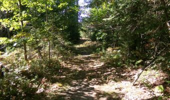 V/L 30AC Lake Winyah Road, Alpena, MI 49707