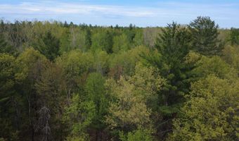 x Hillside Drive, Alger, MI 48610