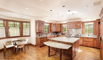 388 Exhibition Ln, Aspen, CO 81611