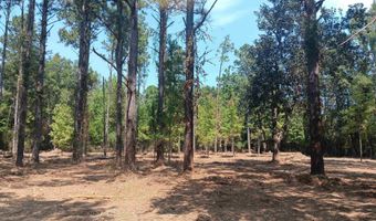 16253 Tolbert Rd, Bay Minette, AL 36507