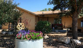 1773 County Road 222, Amherst, TX 79312