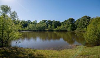 290 Abigail Ln, Bentonia, MS 39040