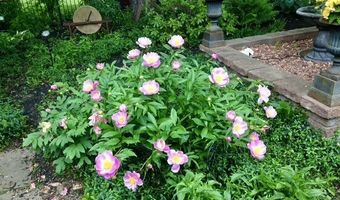 2642 Remington Rd, Utica, NY 13501