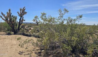 5558 E Red Barrel Rd, Yucca, AZ 86438