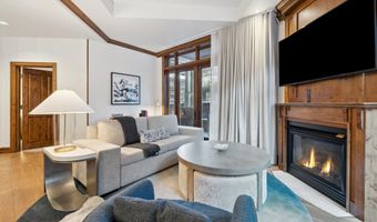 415 E Dean St Unit 3 Week 8, Aspen, CO 81611