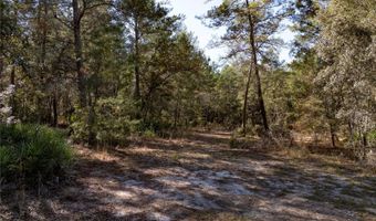 18129 SW 200TH St, Archer, FL 32618