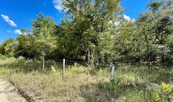 55 Th St, Bell, FL 32619