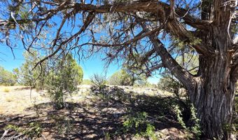 3200 W Poppy Rd, Ash Fork, AZ 86320