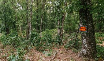 Copeland Ridge Road, Arkadelphia, AR 71923