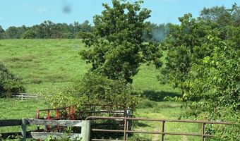 14105 LEE Hwy, Amissville, VA 20106