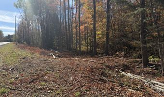 Rand Hill Road, Altona, NY 12910