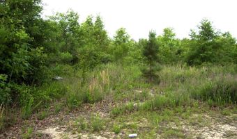 118 LR 27, Ashdown, AR 71822