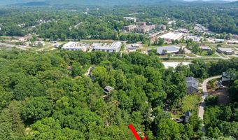 1 Pickwick Rd, Asheville, NC 28803