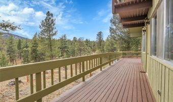 64 Elk Horn Ct, Bailey, CO 80421