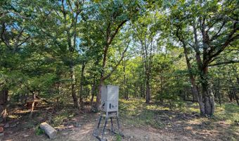 Old Moyers Road, Antlers, OK 74523