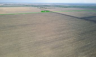 FM 665, Alice, TX 78332