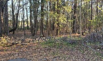 Freeman Street lot 12, Brunson, SC 29911
