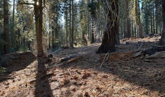 550 Cabbage Patch Log Rd, South Lake Tahoe, CA 95223