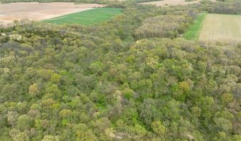 TBD 194th Avenue, Argyle, IA 52619
