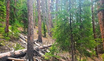 1013 RANGE Rd, Breckenridge, CO 80424