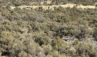 County Road 2550, Aztec, NM 87410
