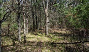 S Badger Lane lot 38, Arkdale, WI 54613