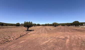 29 County Road 8285, Concho, AZ 85924