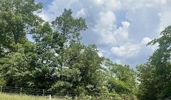 Co Rd 304, Ava, MO 65608