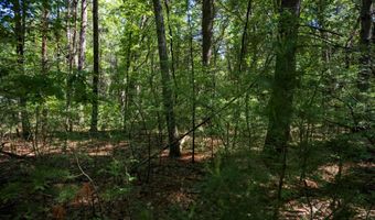 19 Th Pass Lot 132, Arkdale, WI 54613