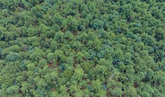 1617 20th Ave Lot 4, Arkdale, WI 54613