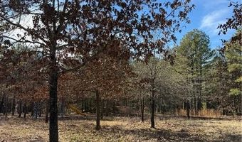 Tract 4 Rural Atoka, Atoka, OK 74525