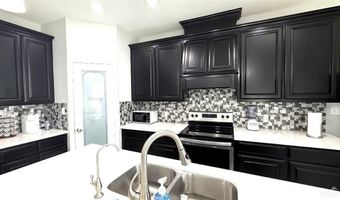 807 Lark St, Alamo, TX 78516