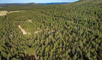 15 Co Rd 2083, Alpine, AZ 85920