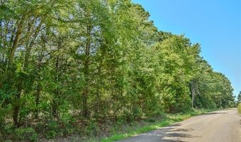 5 N Hall Rd, Antlers, OK 74523