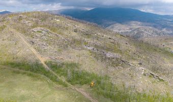 30 Sheep Horn Ct, Bellvue, CO 80512