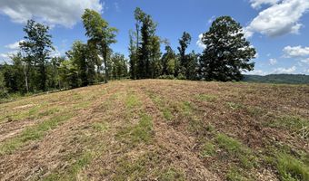 626 Sportsman Ln, Andersonville, TN 37705