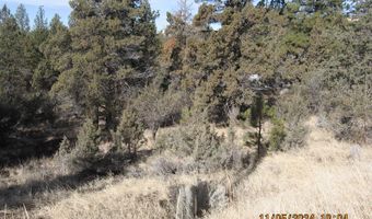 Lot 7 Warbler Drive, Bonanza, OR 97623