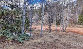 244 Spring Valley Ln, Florissant, CO 80816