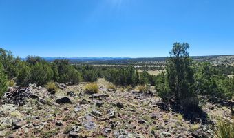 85 N 8522, Concho, AZ 85924