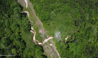 Christian Hts Road, Braxton, MS 39044