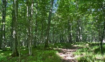 15597 BALD EAGLE Blvd, Alvin, WI 54542