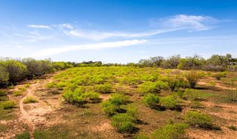 4246 Rakowitz Rd, Adkins, TX 78101