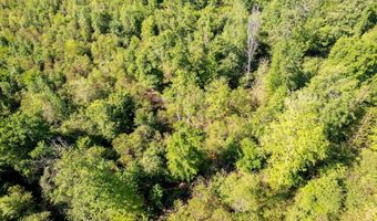 1111 TX- 21, Alto, TX 75925