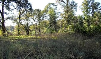 160 LR 717, Ashdown, AR 71822