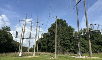 80 AC Old River Rd, Baker, FL 32531