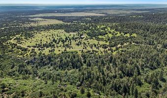 Old Homestead Ln, Beulah, CO 81023