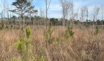 5000 County Road 53, Banks, AL 36005